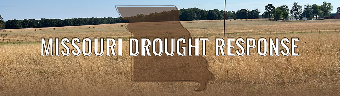 Drought Response 2022